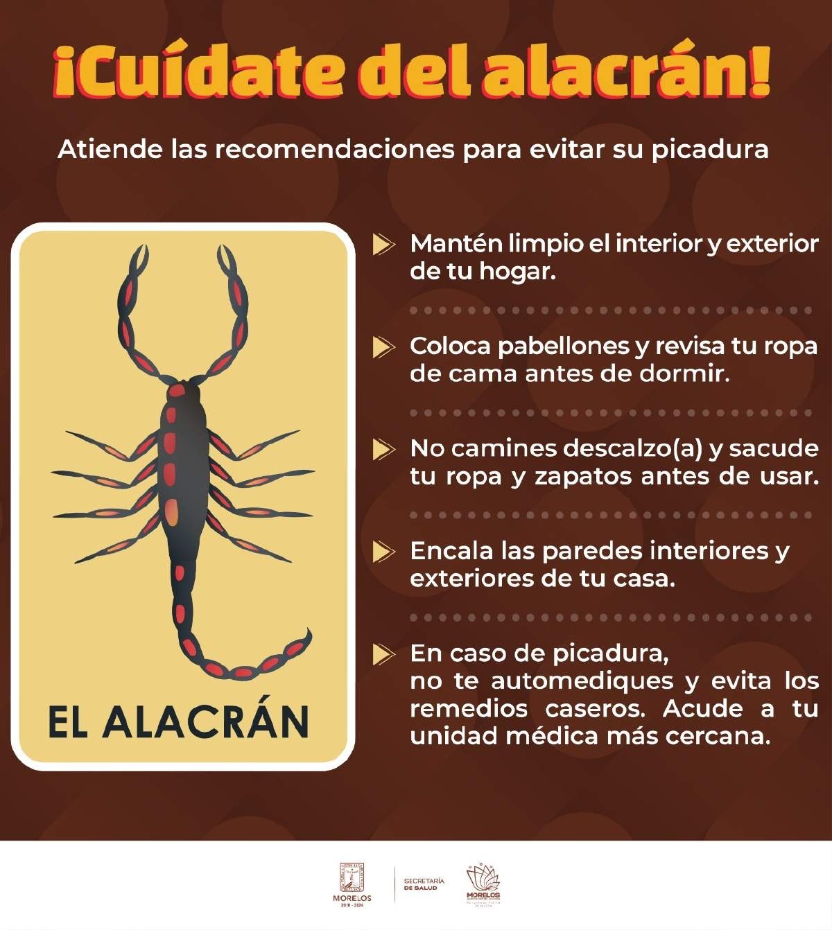El calor incrementa casos de picaduras de alacrán