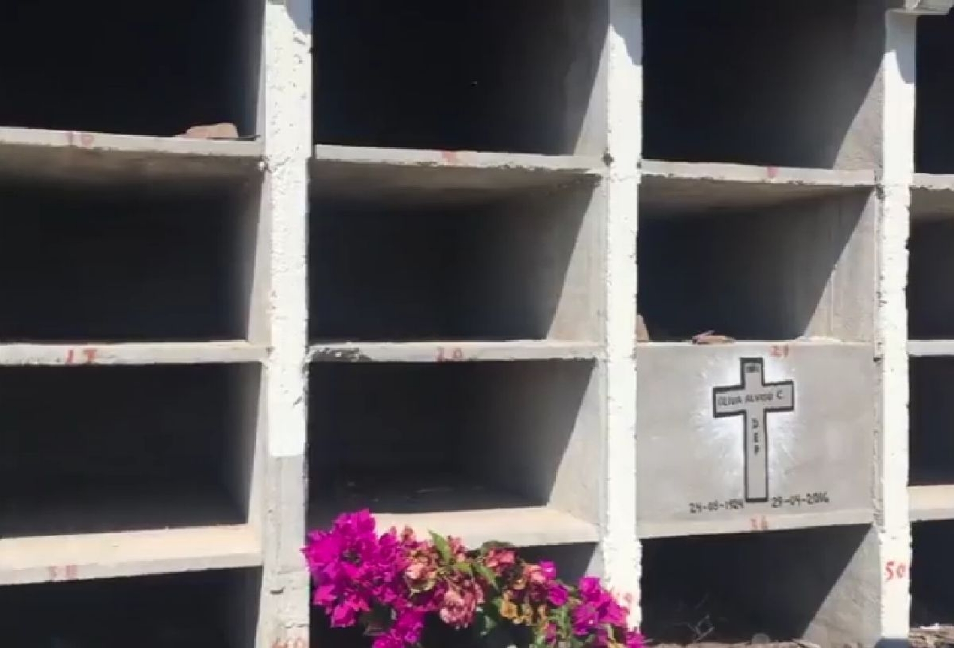 Los nichos del panteón de Mazatepec deberán ser derribados
