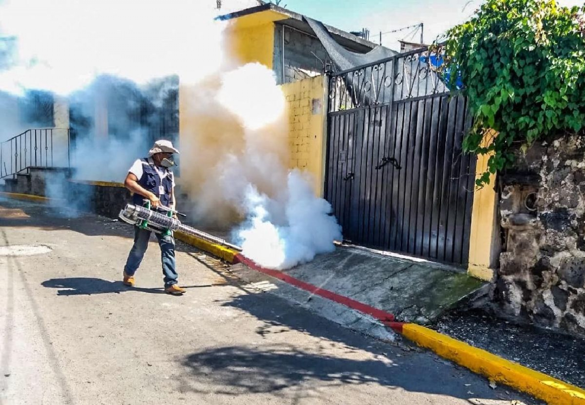 Estable, incidencia de casos de dengue: SSM