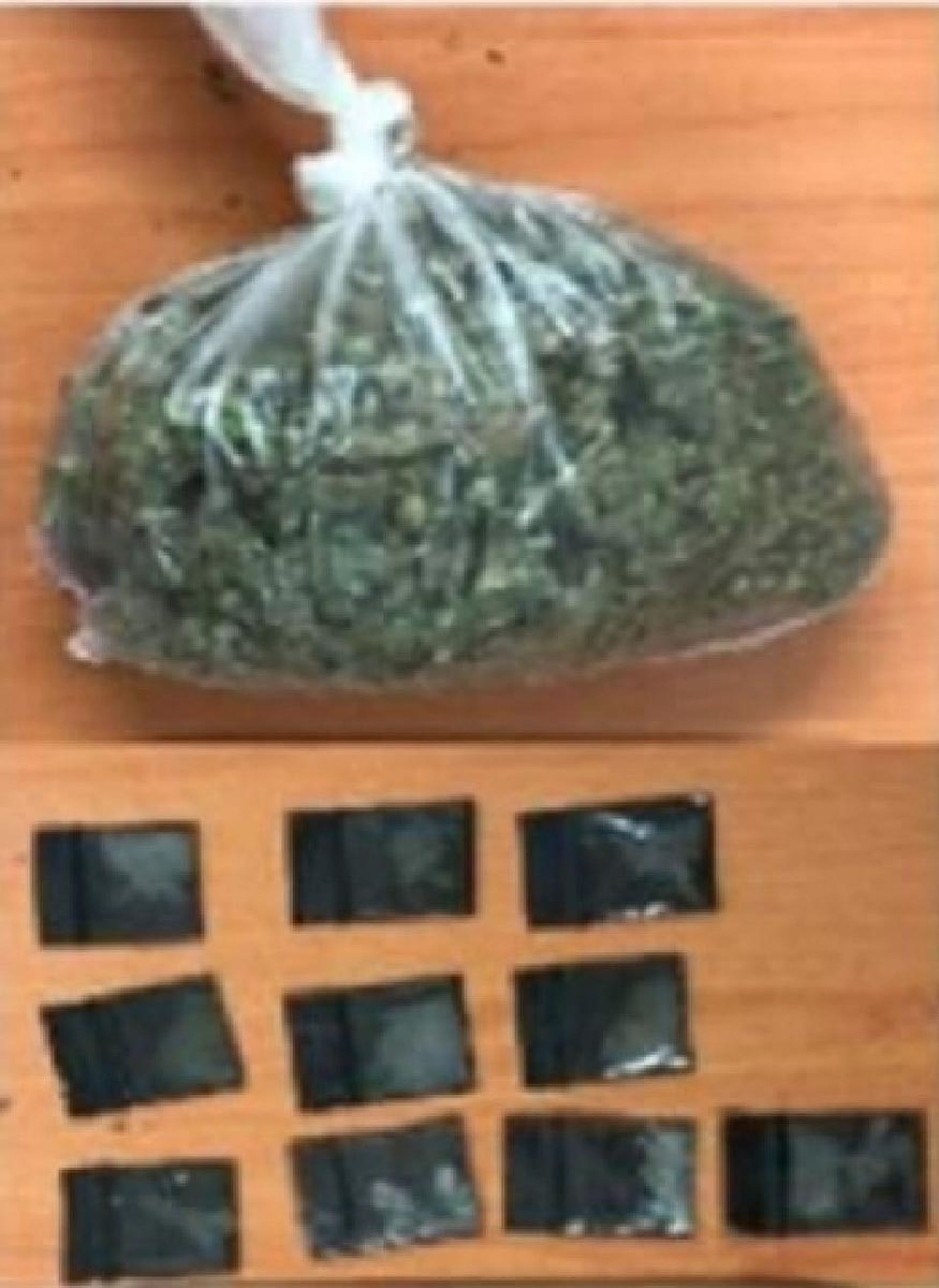 Arrestan a una joven con droga en Zapata