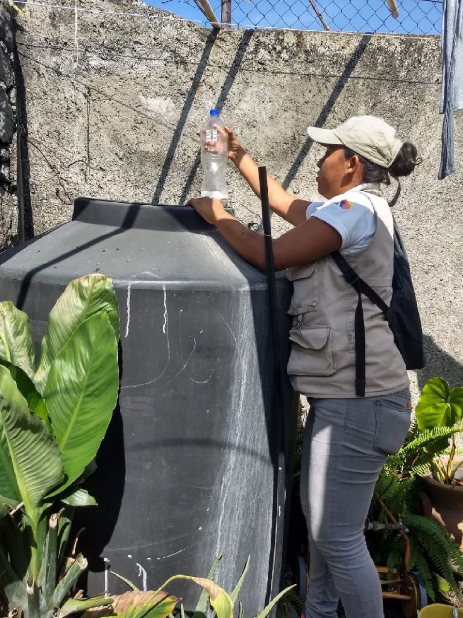 Trabaja SSM para prevenir y controlar enfermedades transmitidas por vector
