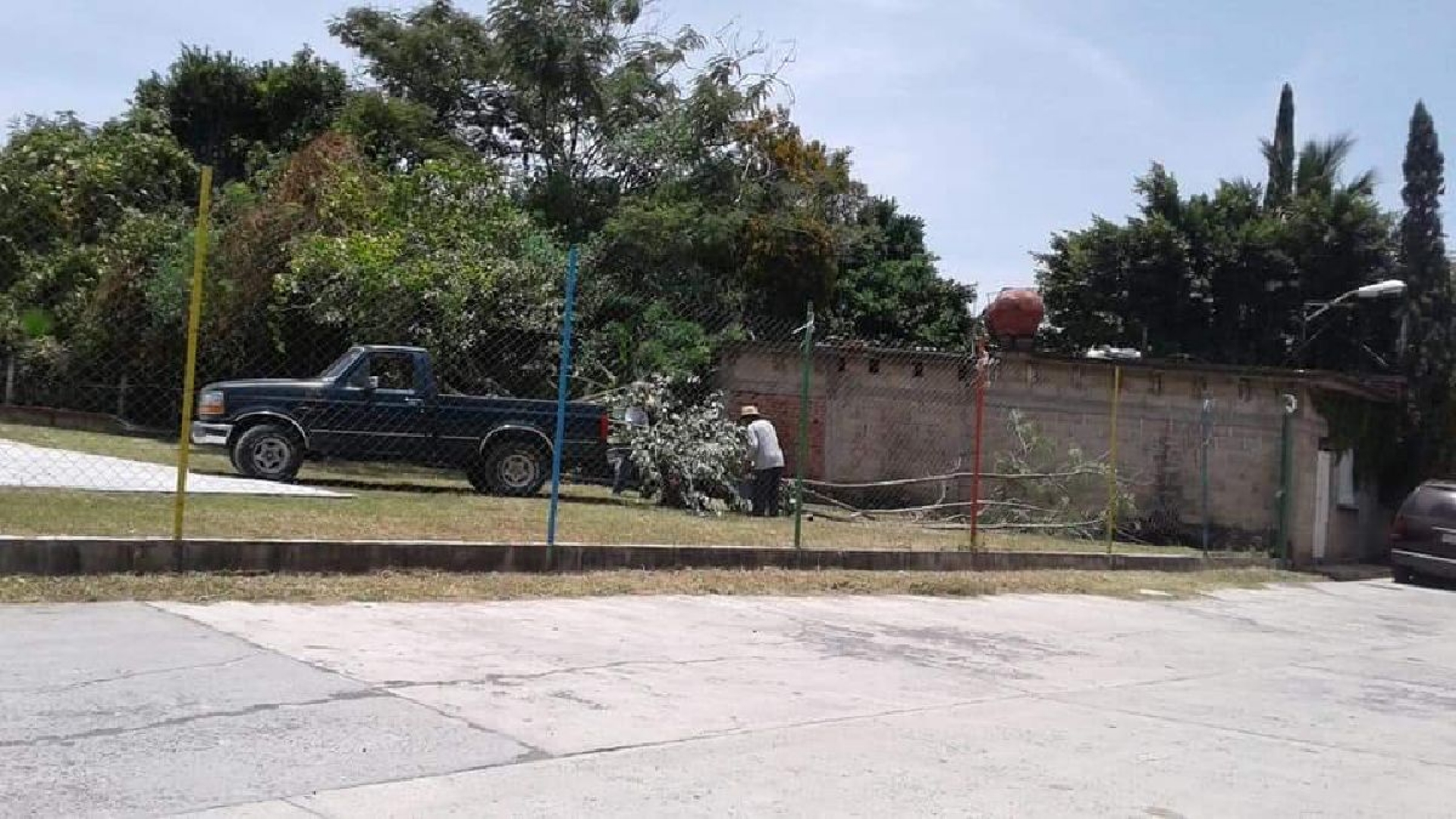 Reforestan el parque “El Llanito” de Jonacatepec