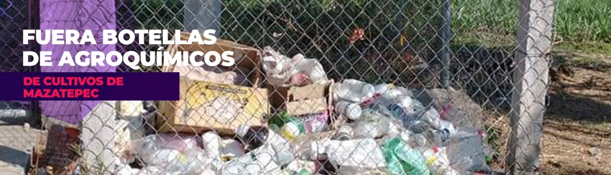 Retiran botellas de agroquímicos en campos de cultivo de Mazatepec