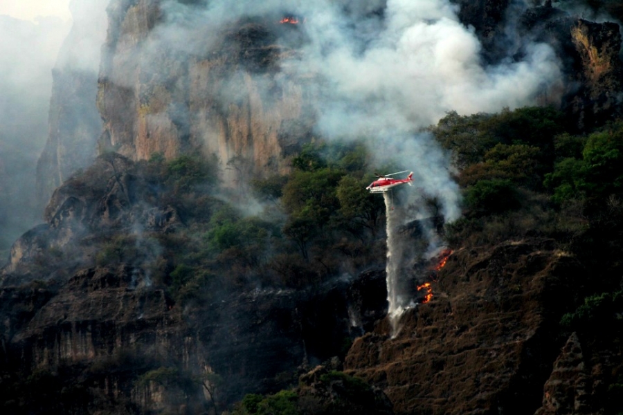 Cientos de hectáreas, devastadas