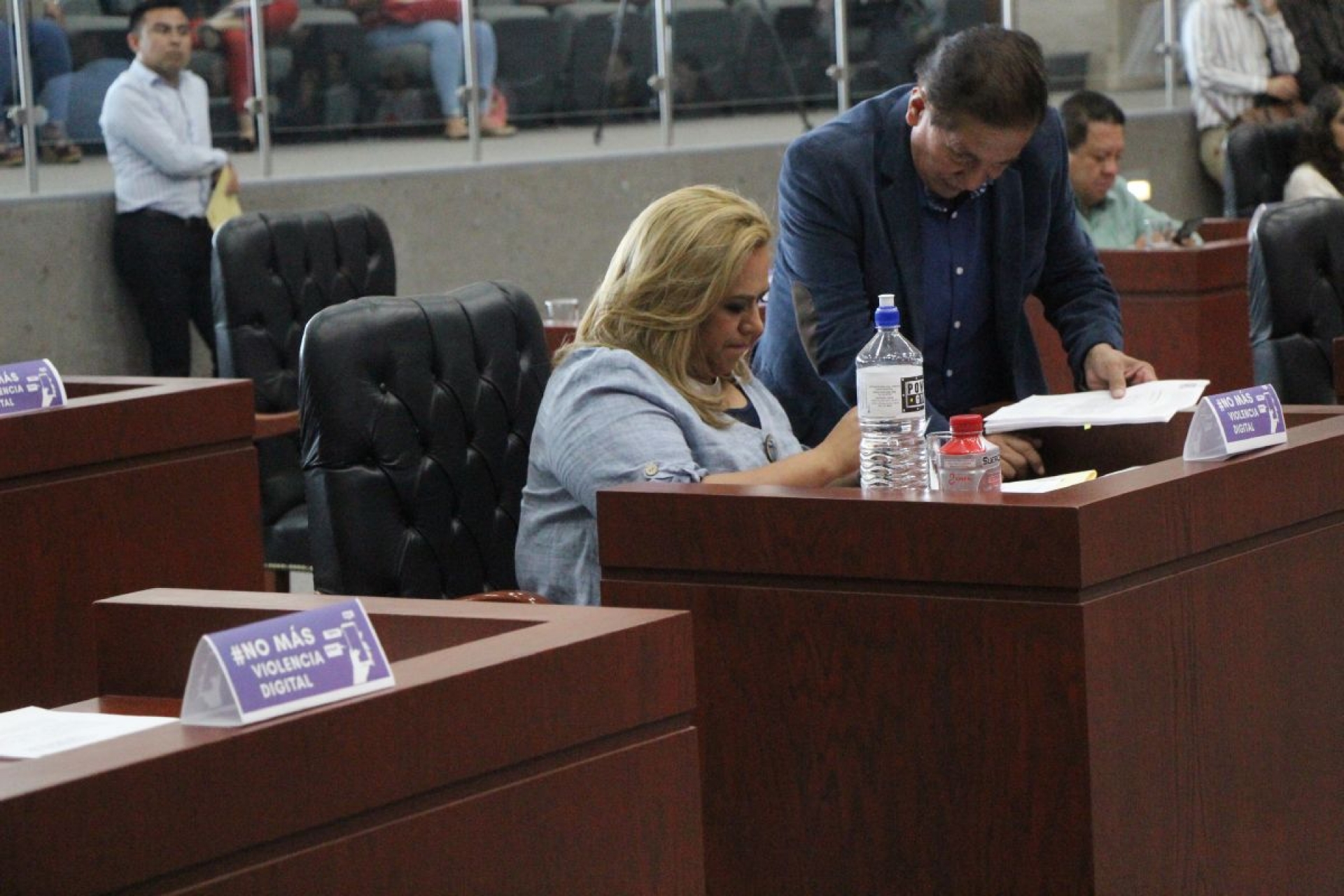 No habrá modificaciones en el Congreso: Tania Valentina