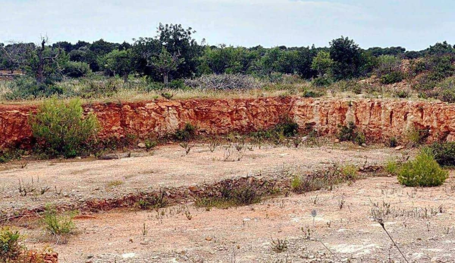 Se adueñó de un terreno de su hermano