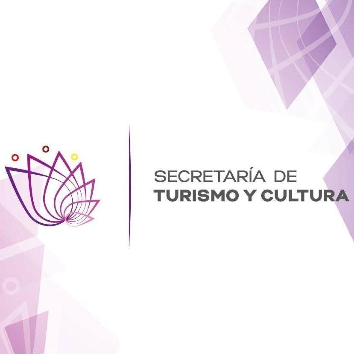 Señala gobierno estatal correspondencia 'fake' adjudicada a STyC