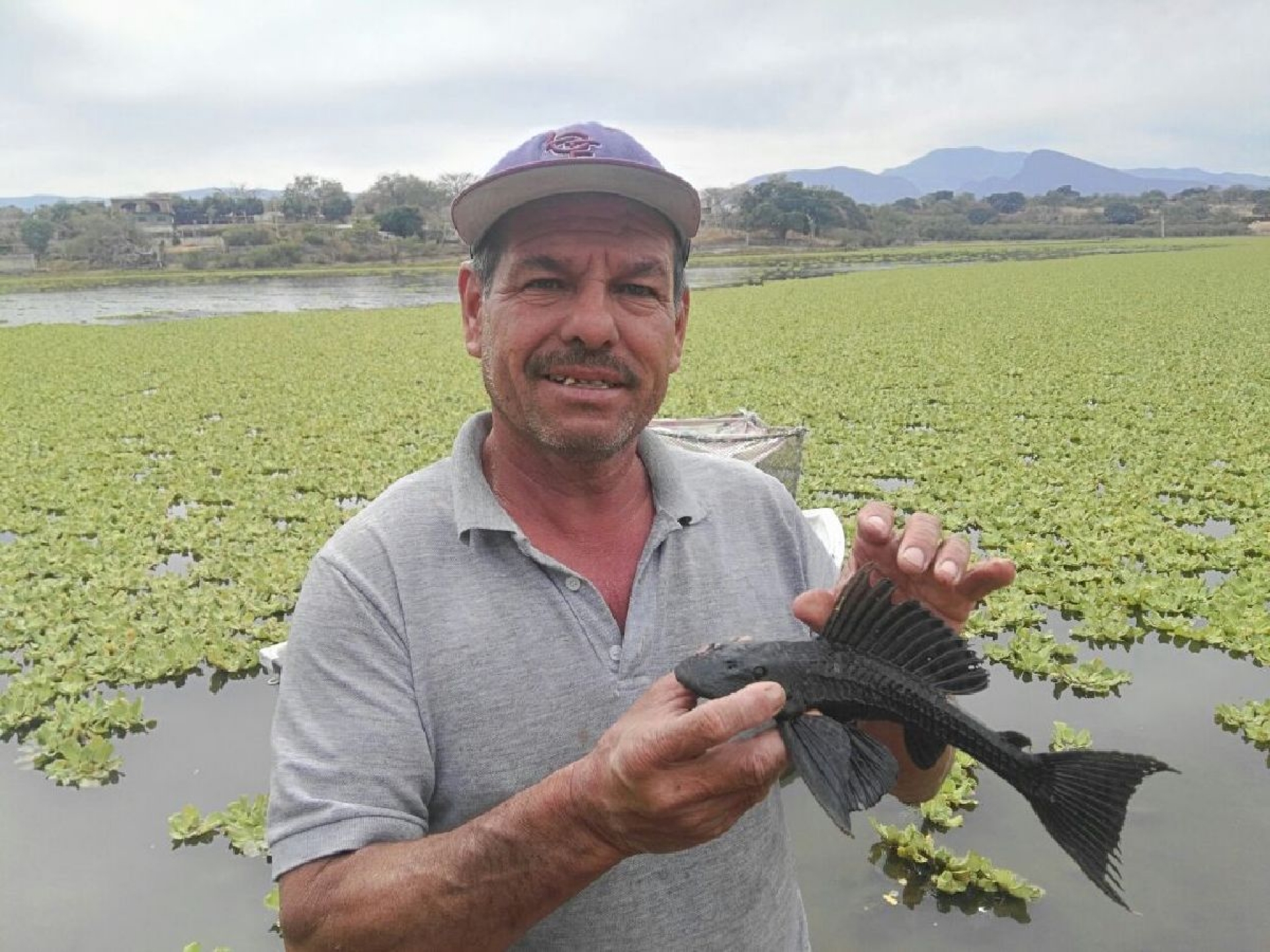 Eliminan pobladores de Contlalco las plagas de la presa “El Tilcuate”