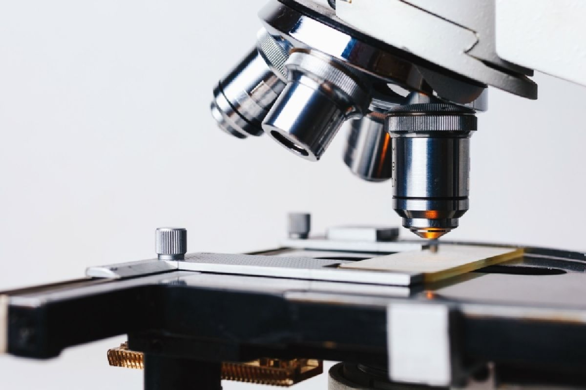 Sobre la inversión en ciencia y formación de talento