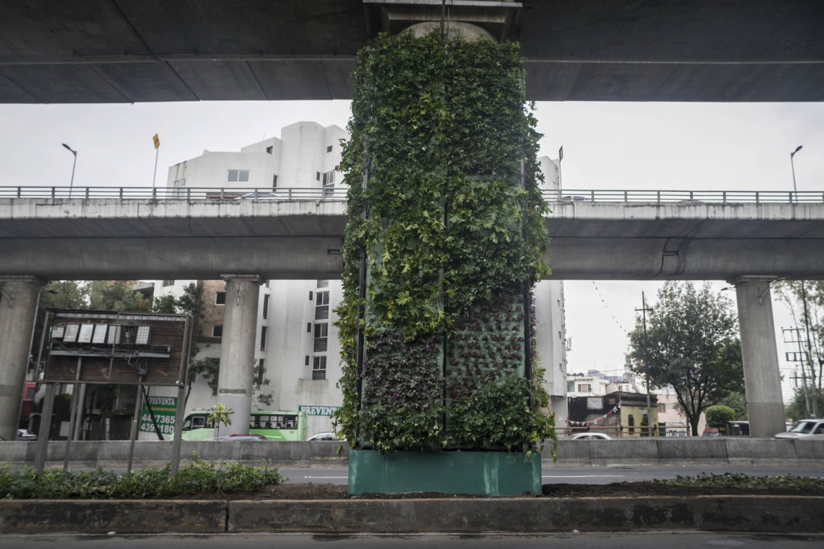El periférico de CDMX se está vistiendo de verde