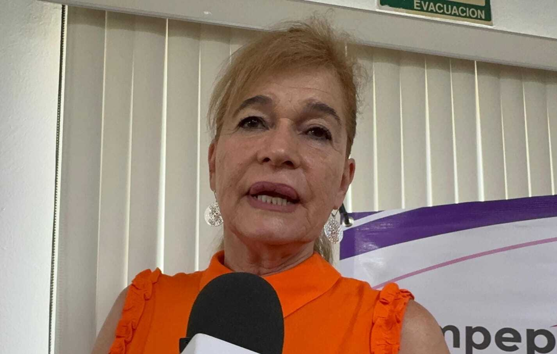 No ha recibido Impepac denuncias por actos anticipados de campaña, afirma Mireya Gally