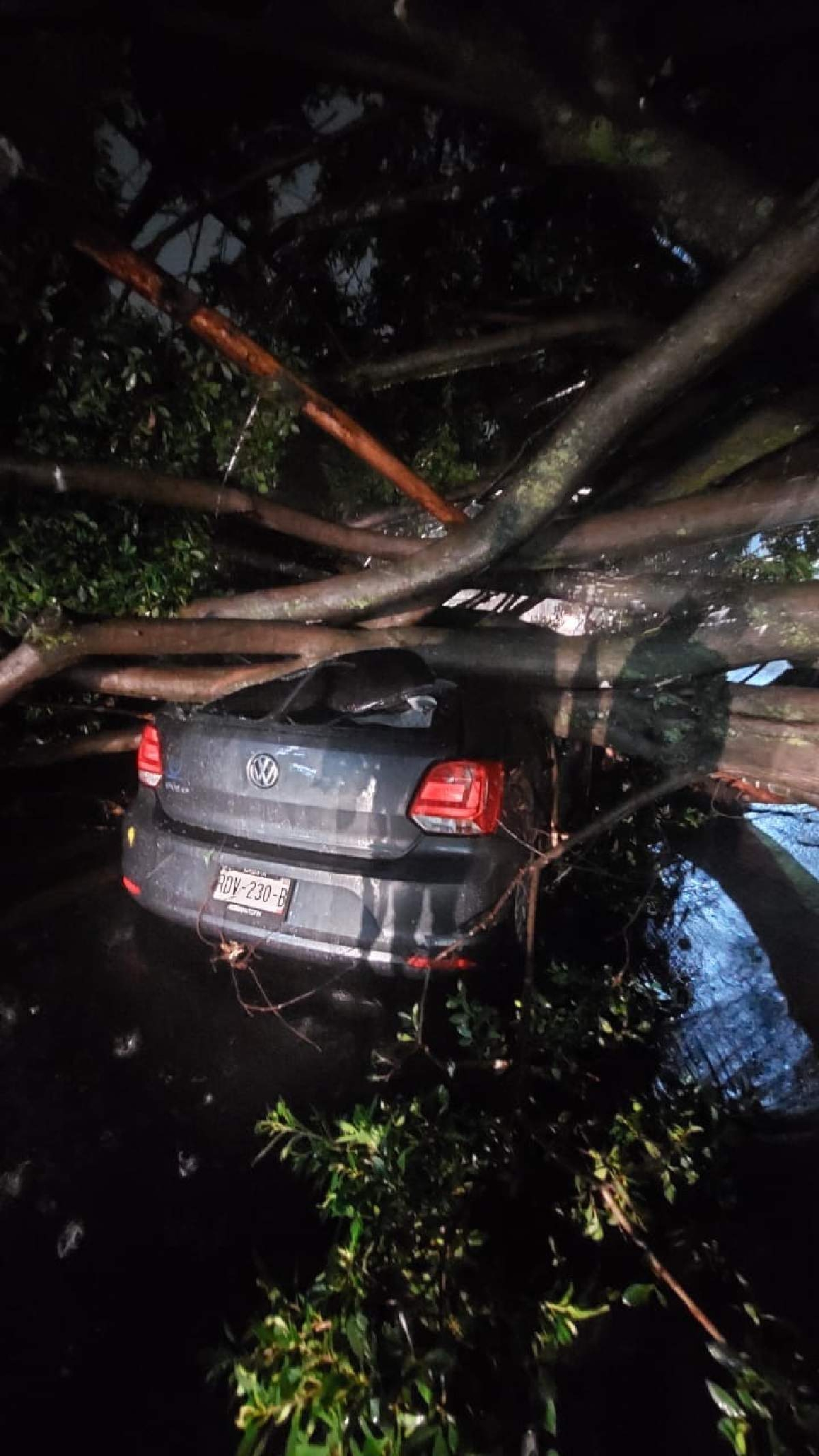 Atienden bomberos emergencias por tormenta