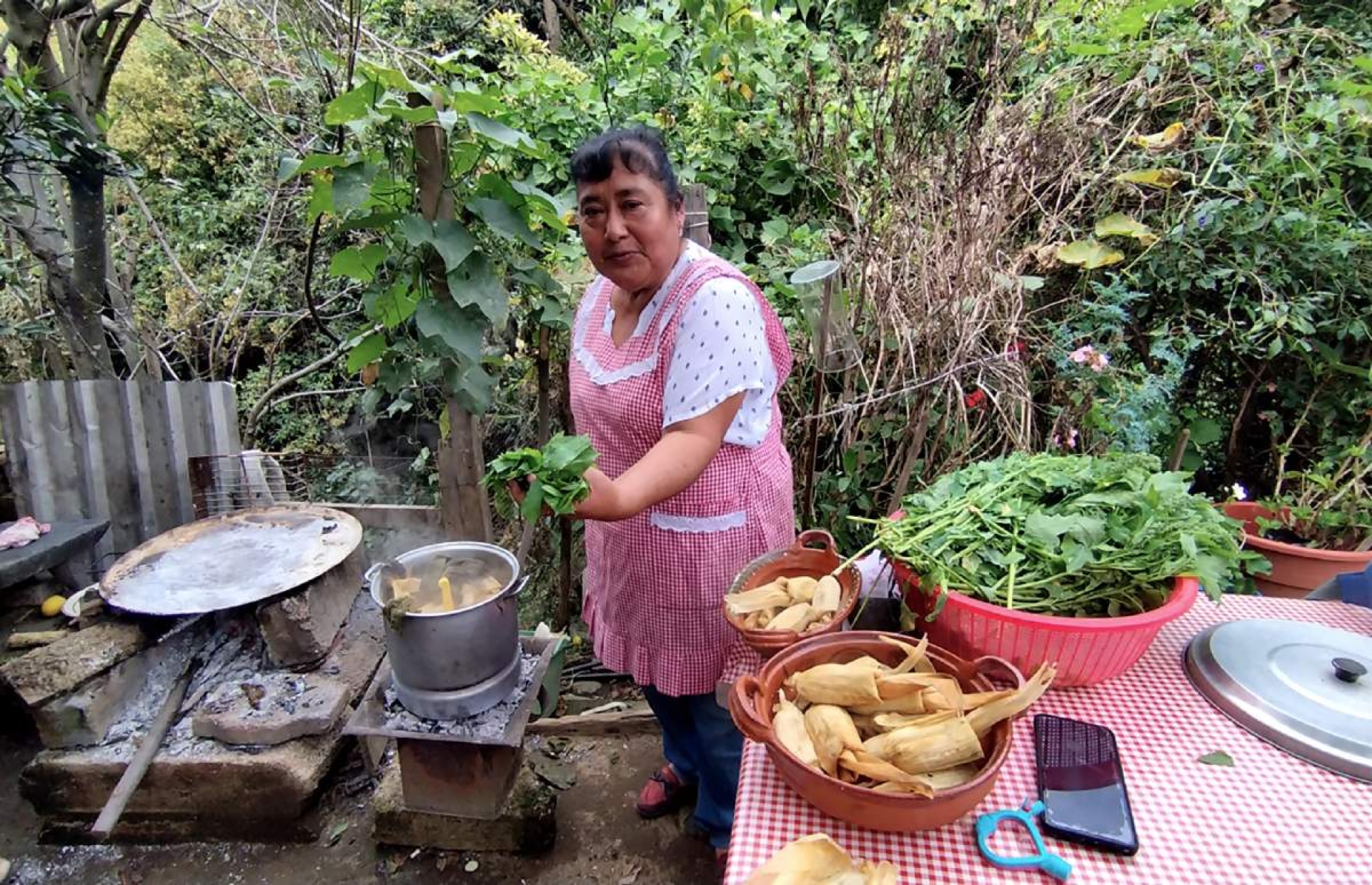 Reyna Pérez Vicuña,  La reina de las cocineras