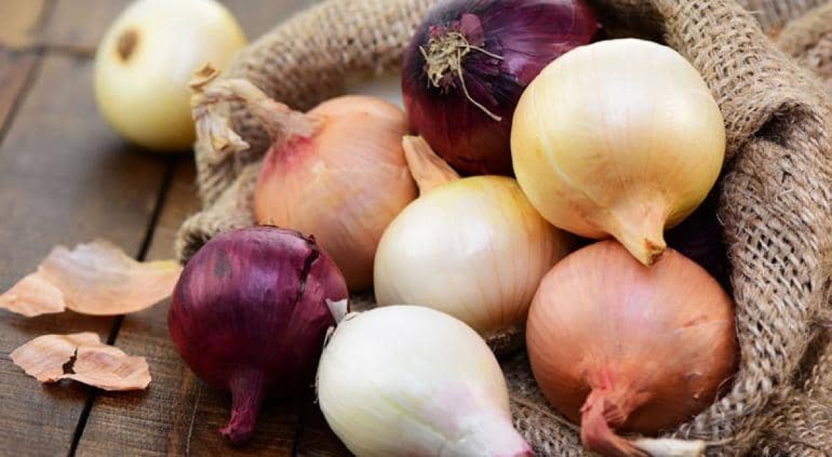 Cebollas de México provocan alerta por brote de salmonelosis en Estados Unidos