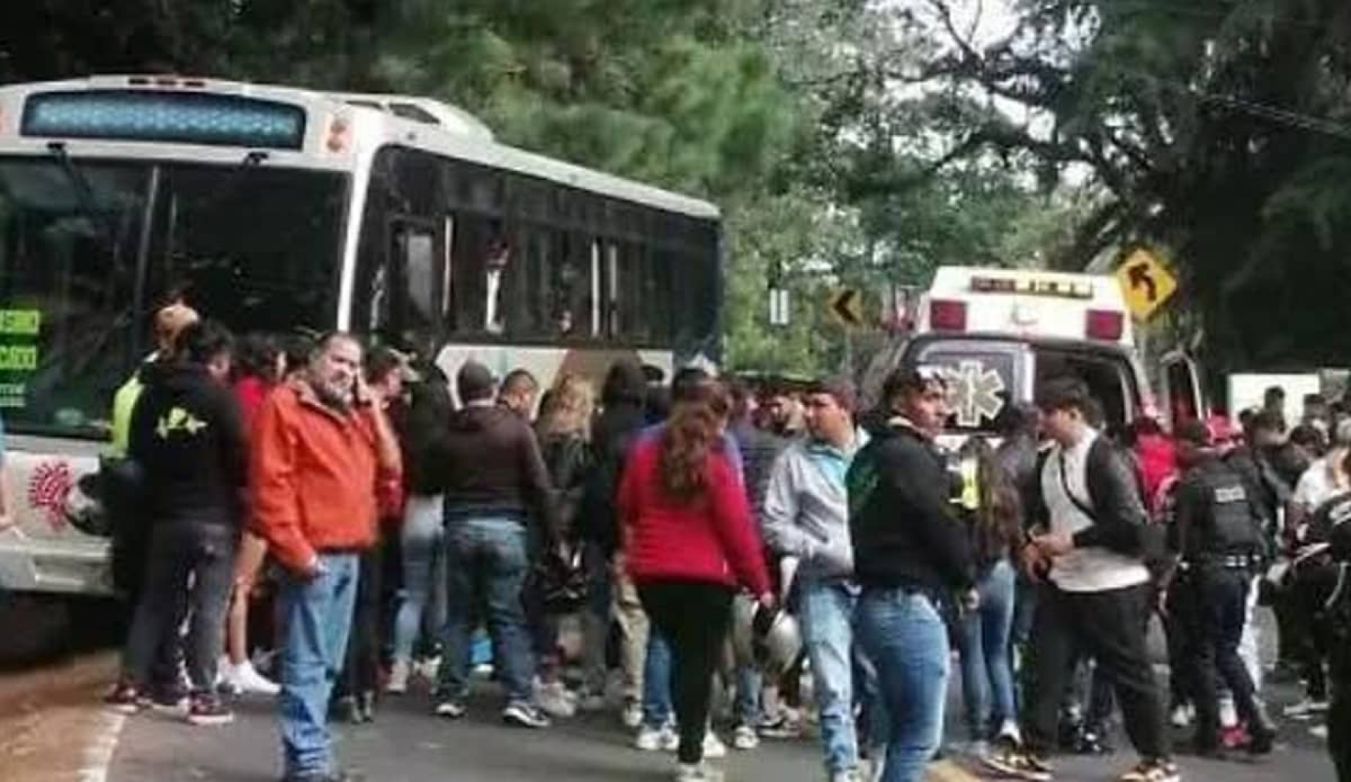 Murió atropellado