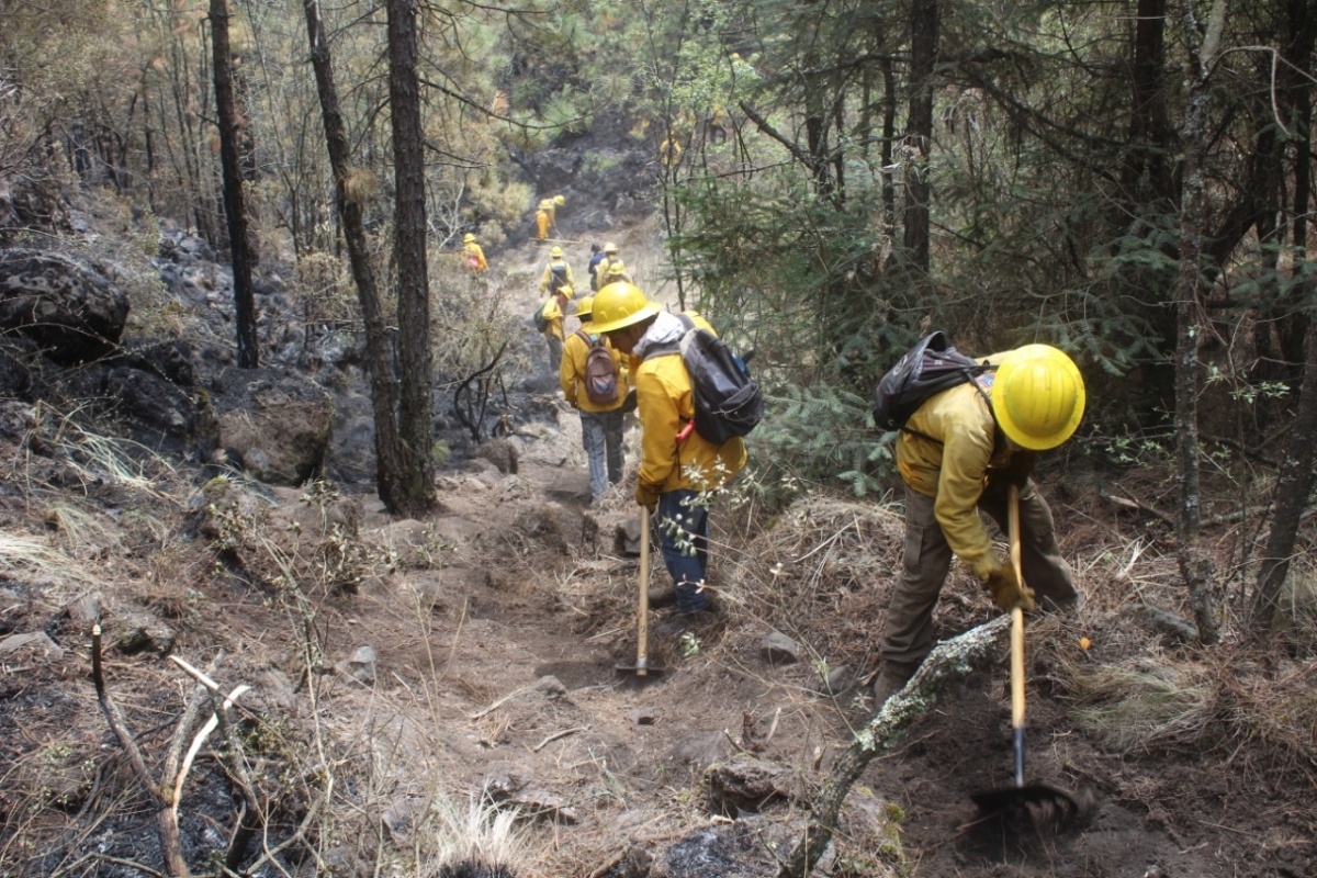 80% de control y 40% de liquidación en incendio forestal en 'La Gloria': EEMI