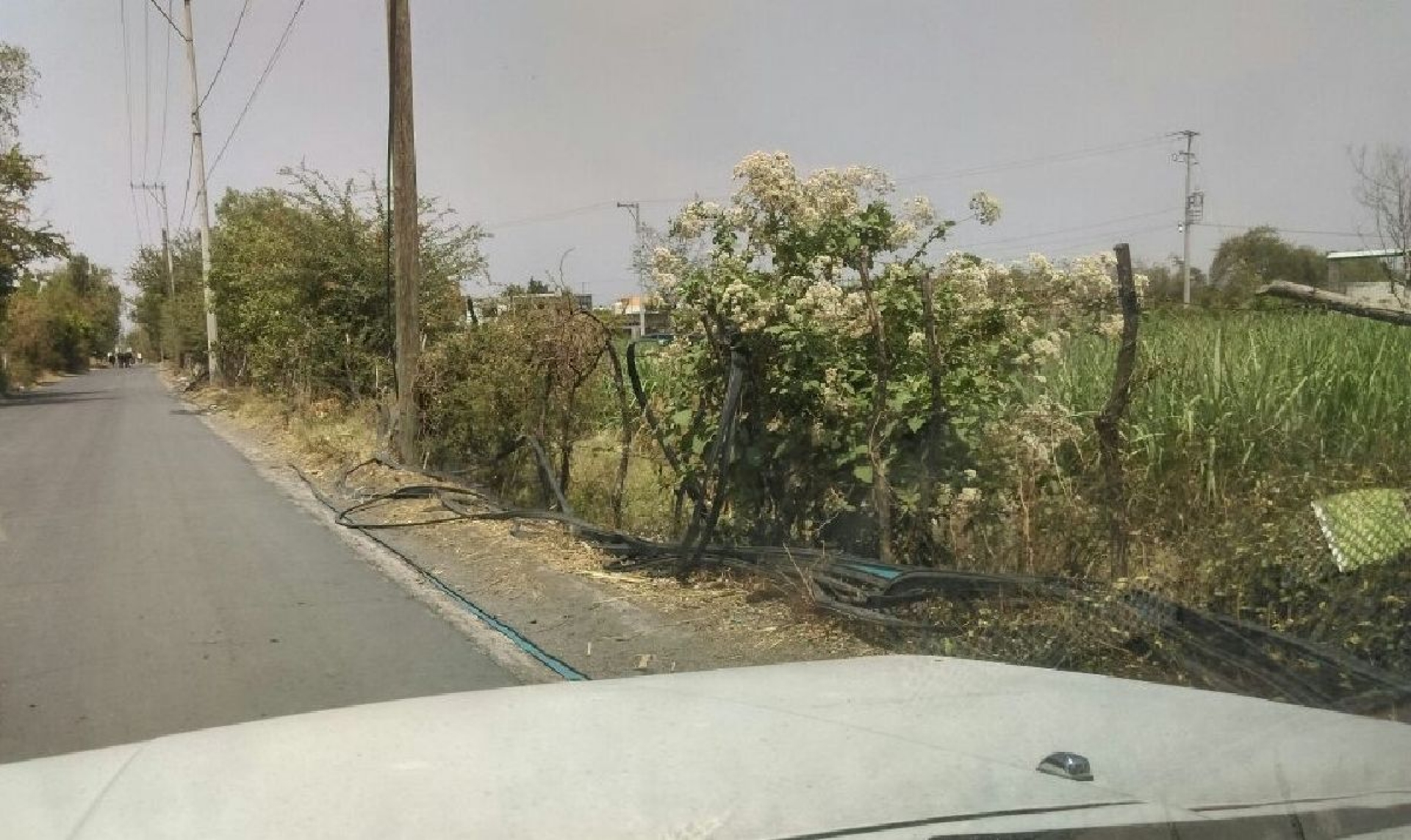 Dejan incomunicadas a varias colonias de Cuautla por robo de cable telefónico