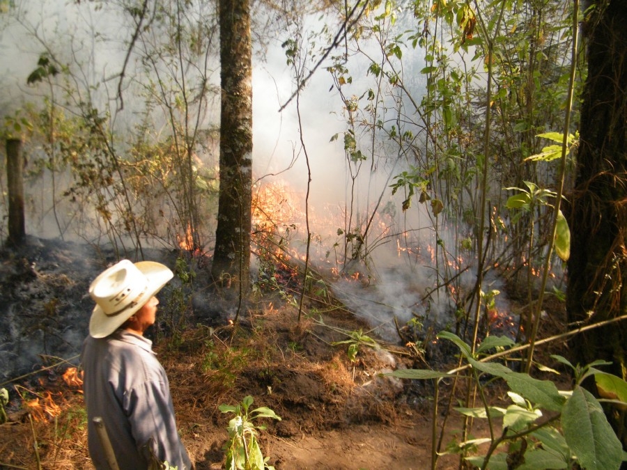Capacitan 37 brigadas comunitarias para  realizar acciones de prevención y combate de incendios forestales