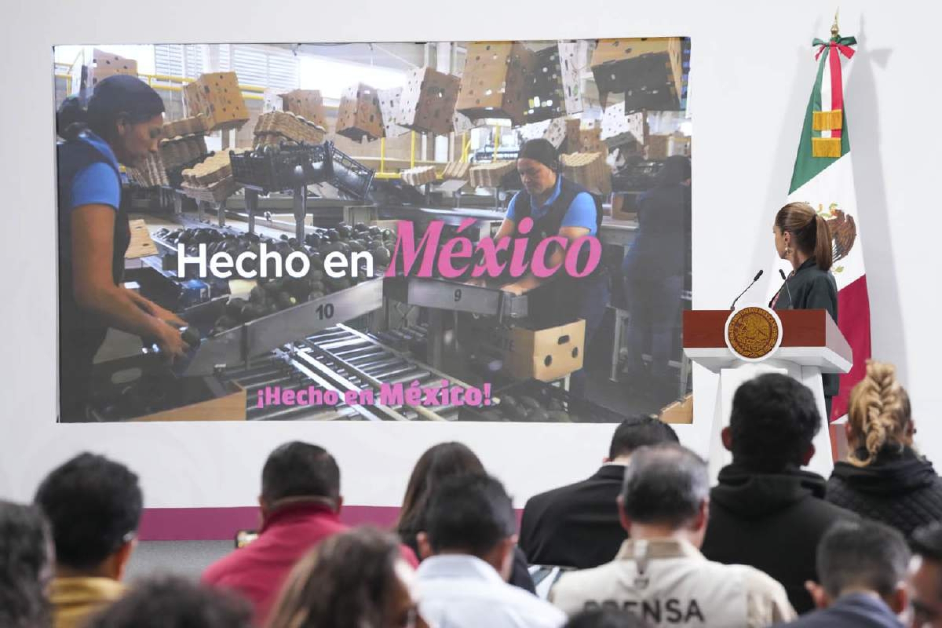 Suspende México de manera temporal importación de calzado terminado