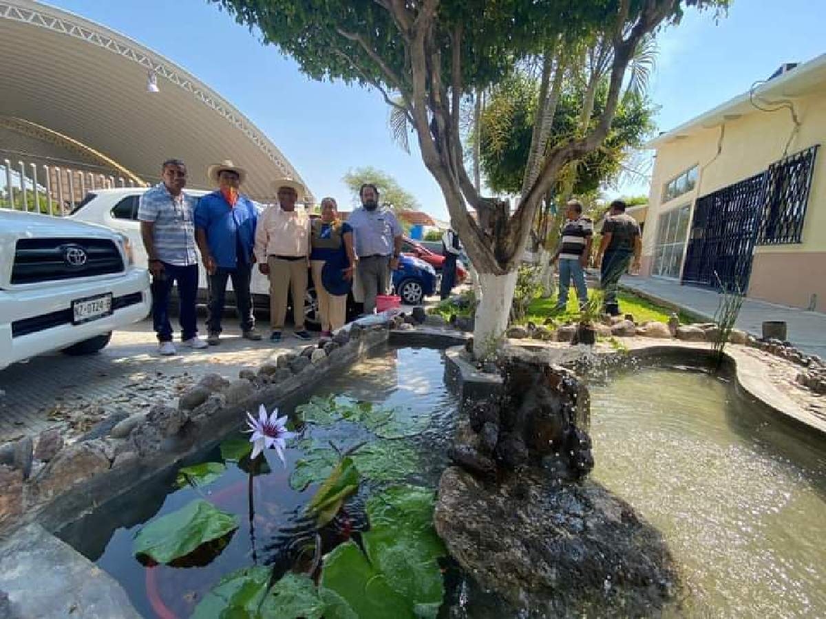 Habilitan estanque con peces koi en la Preparatoria 5 de la UAEM