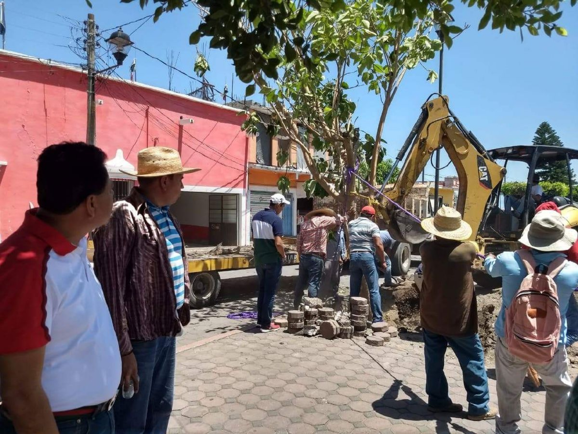El zócalo de Jonacatepec también es reforestado