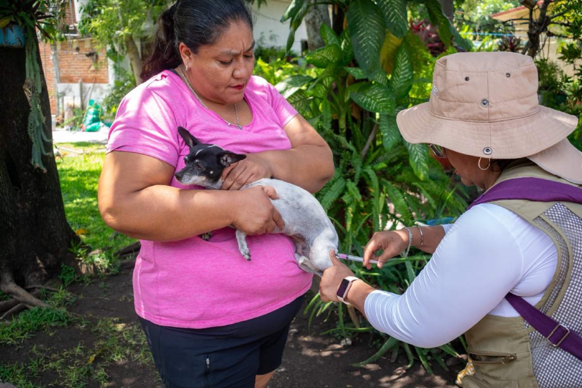 Inicia JS-III jornada de vacunación y esterilización canina y felina en la región oriente