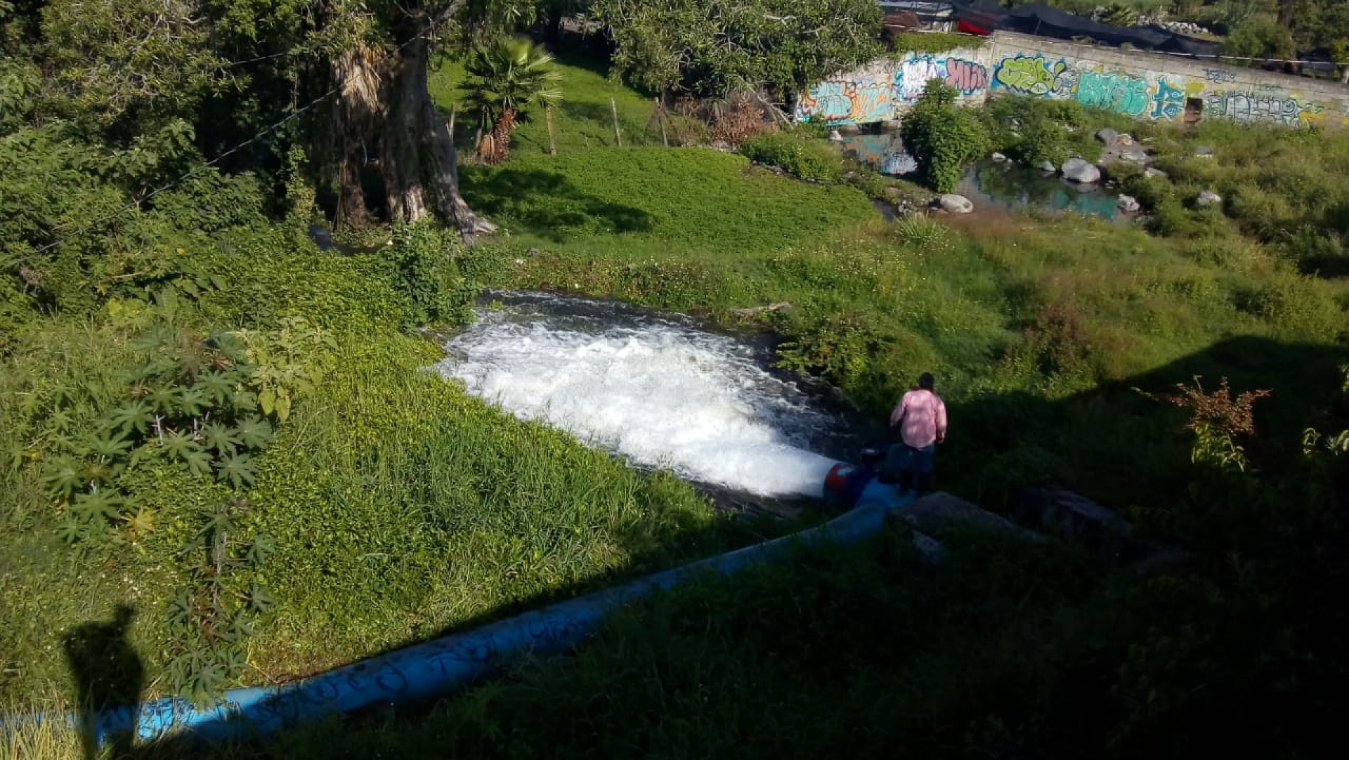 Temen afectaciones en cultivos de temporal por canícula