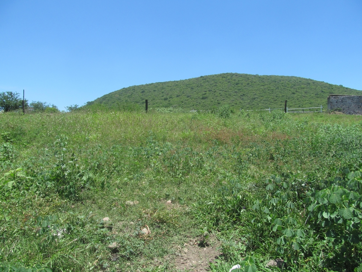 Entregan colmenas a vecinos de Tetelpa para polinizar en el cerro de la Tortuga