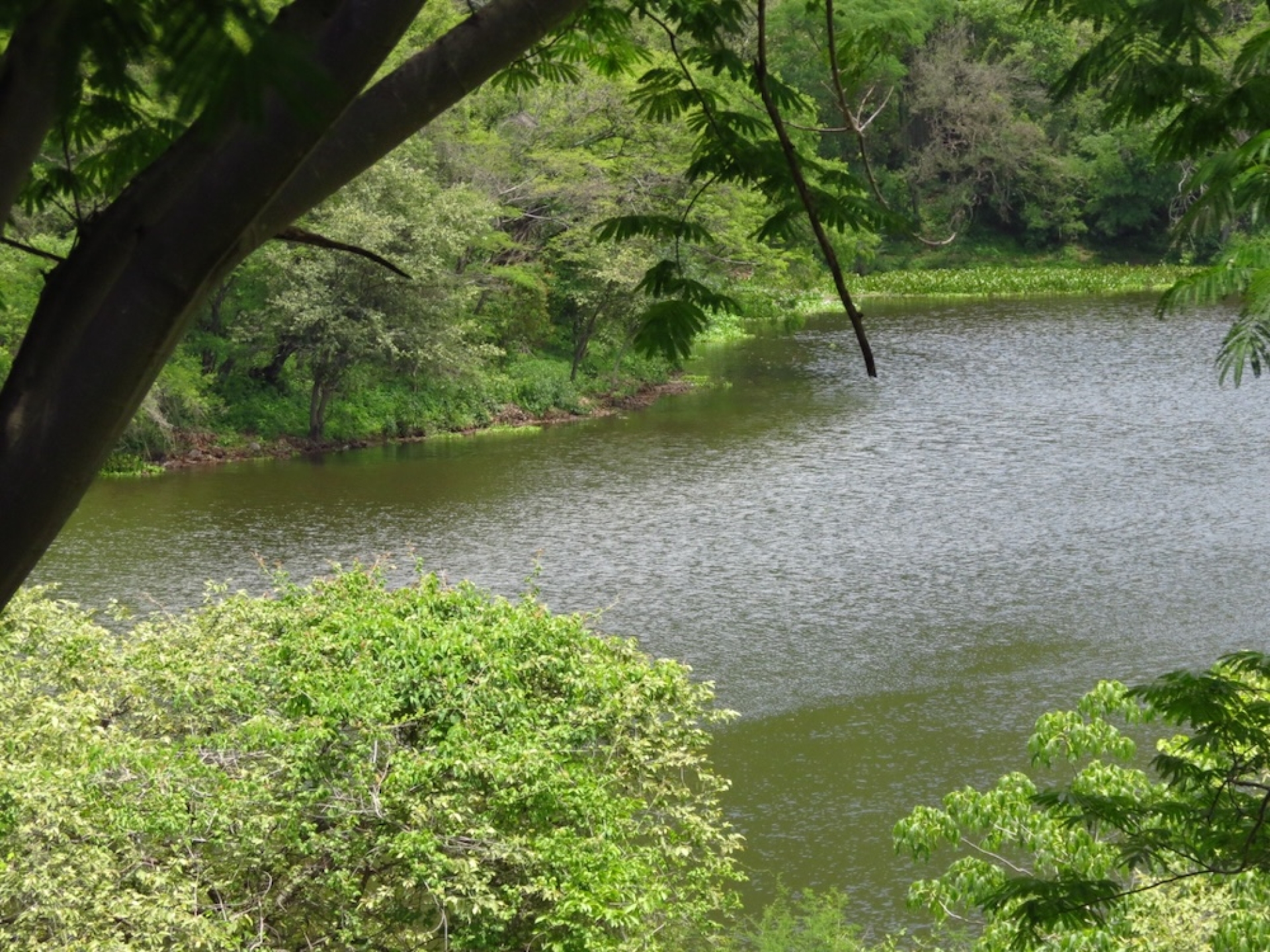 Temporada de lluvias y turismo en la selva