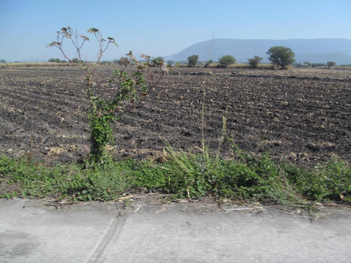 Enseñan a productores a elaborar fertilizantes