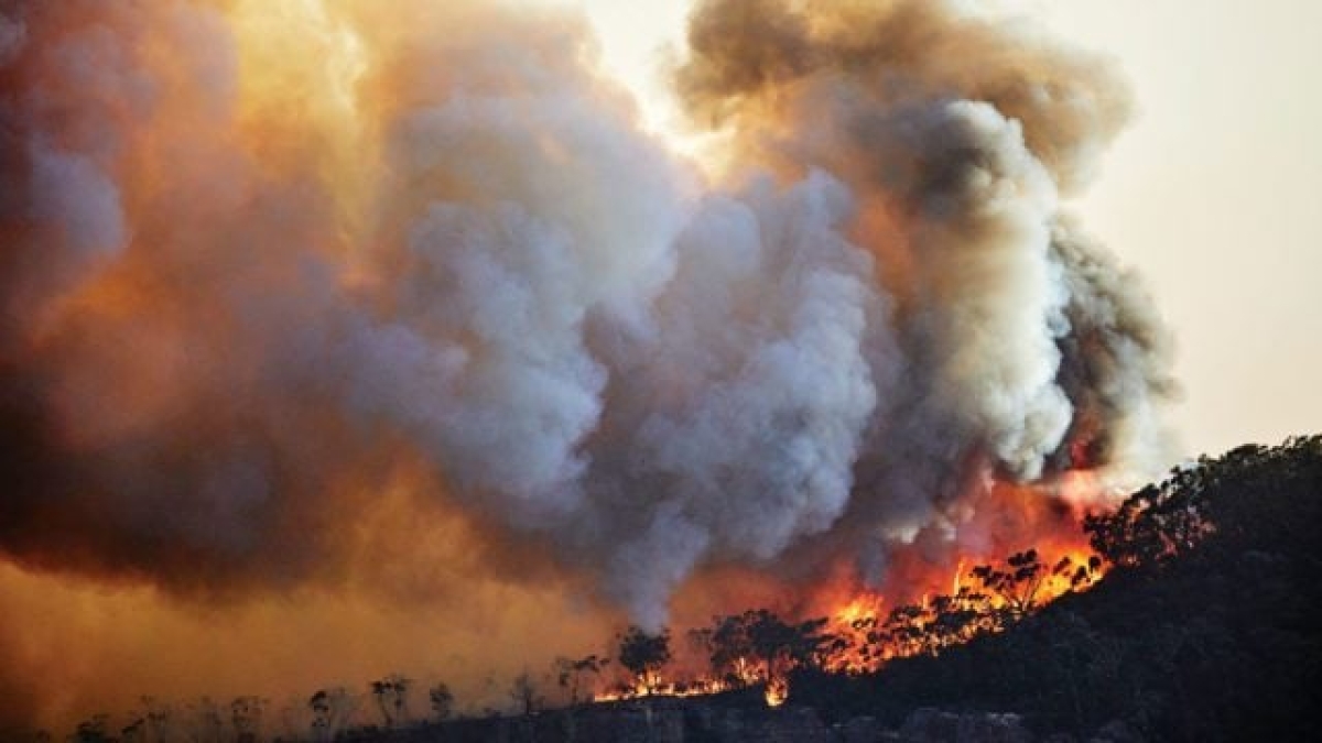 Olas de calor e incendios marcaron cambio climático en Latinoamérica en 2022