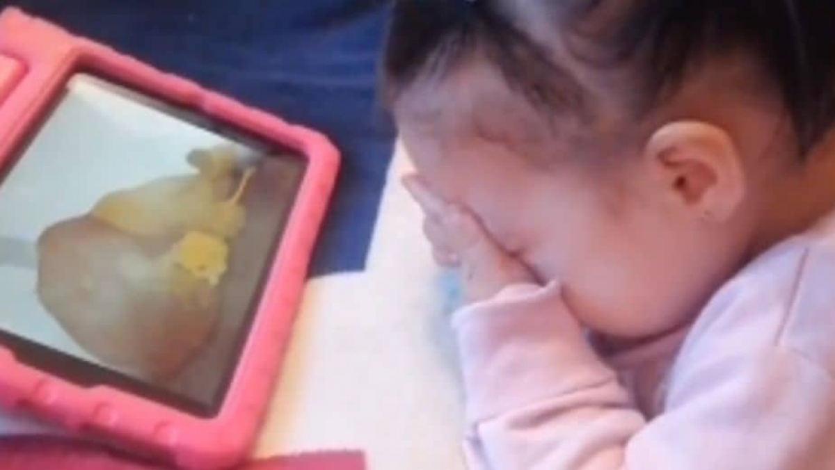 Niña ve escena de "El Rey León" y rompe en llanto