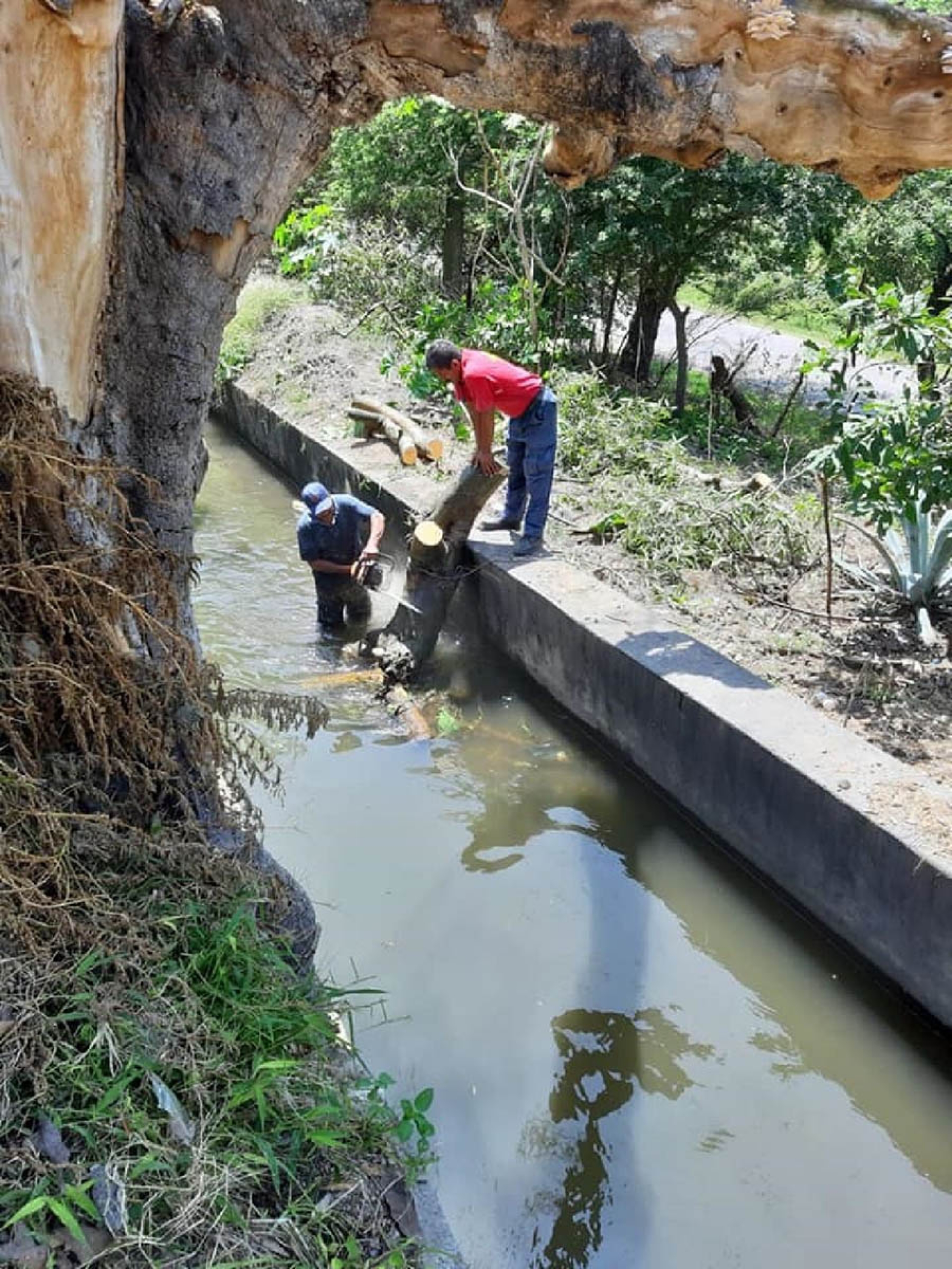 Monitorean puntos de alto riesgo de inundación en Ayala