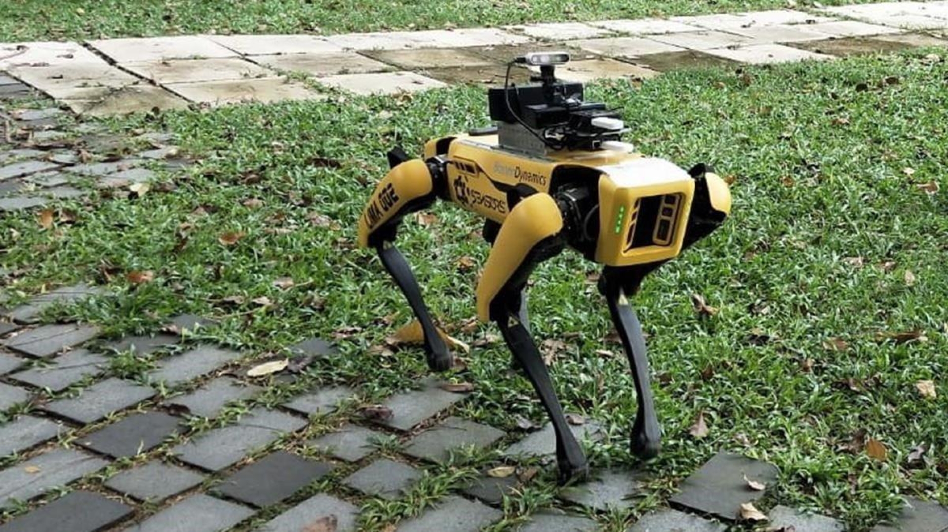 Revolución robótica: 'Spot' perro robot, ahora puede hablar
