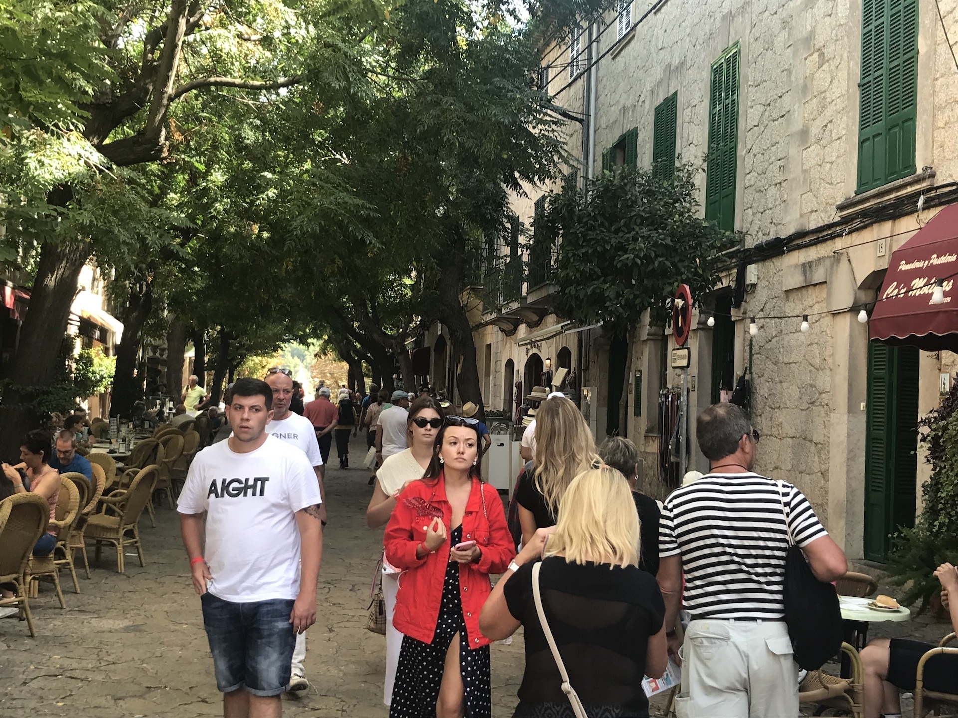 Contribuciones del turismo a las contingencias ambientales críticas