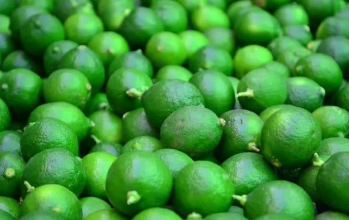 "El precio del limón ha comenzado a bajar": Profeco