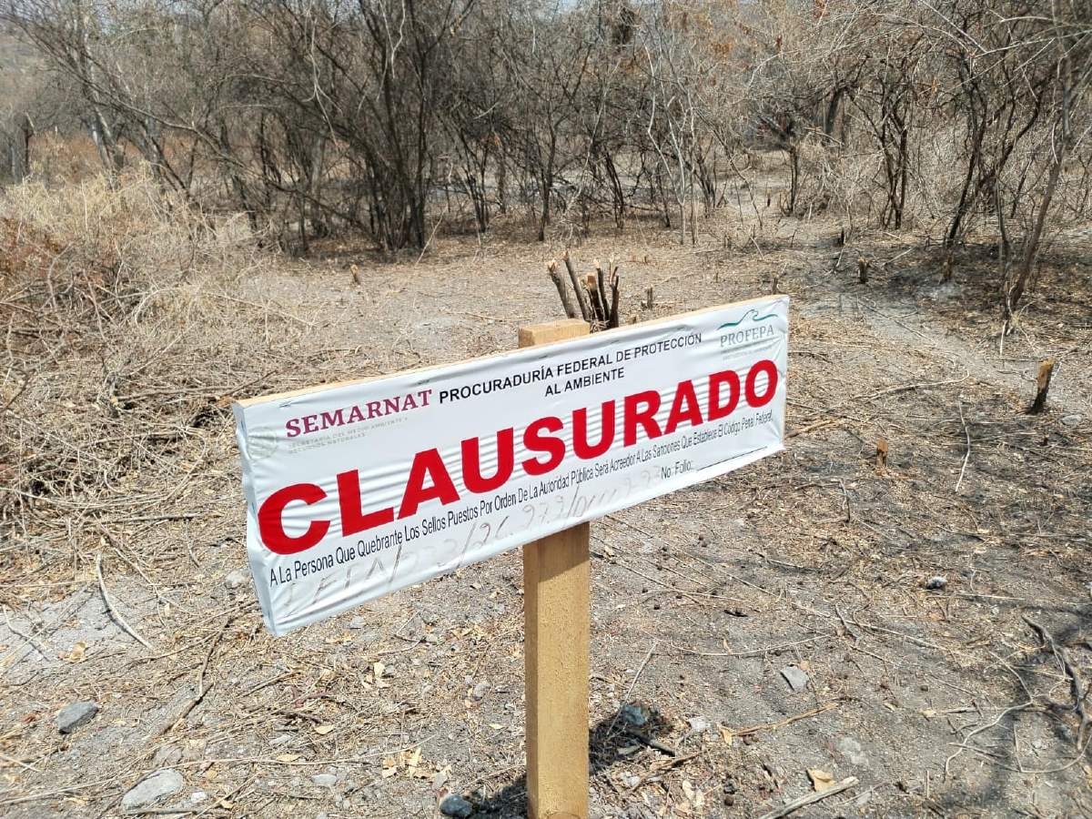 Clausuran tala clandestina y cambio de uso de suelo en sierra de Montenegro