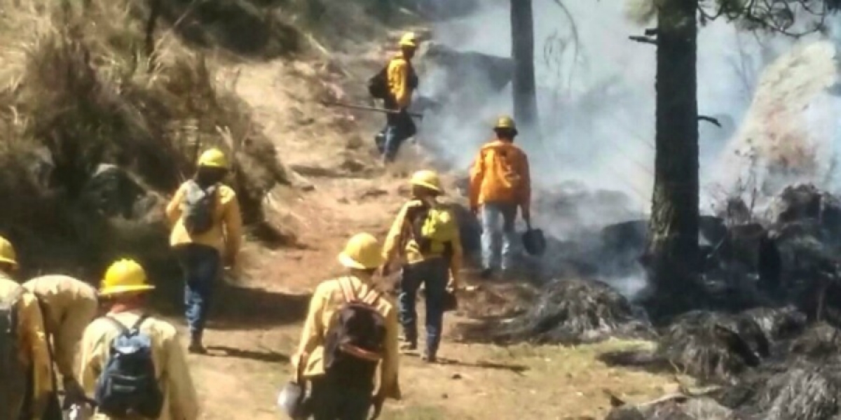 Activos, cuatro incendios forestales en Morelos
