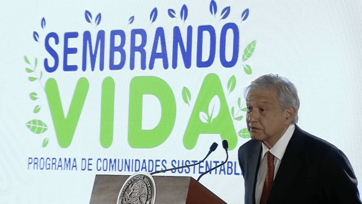 AMLO presentará "Sembrando Vida" a funcionarios de Estados Unidos