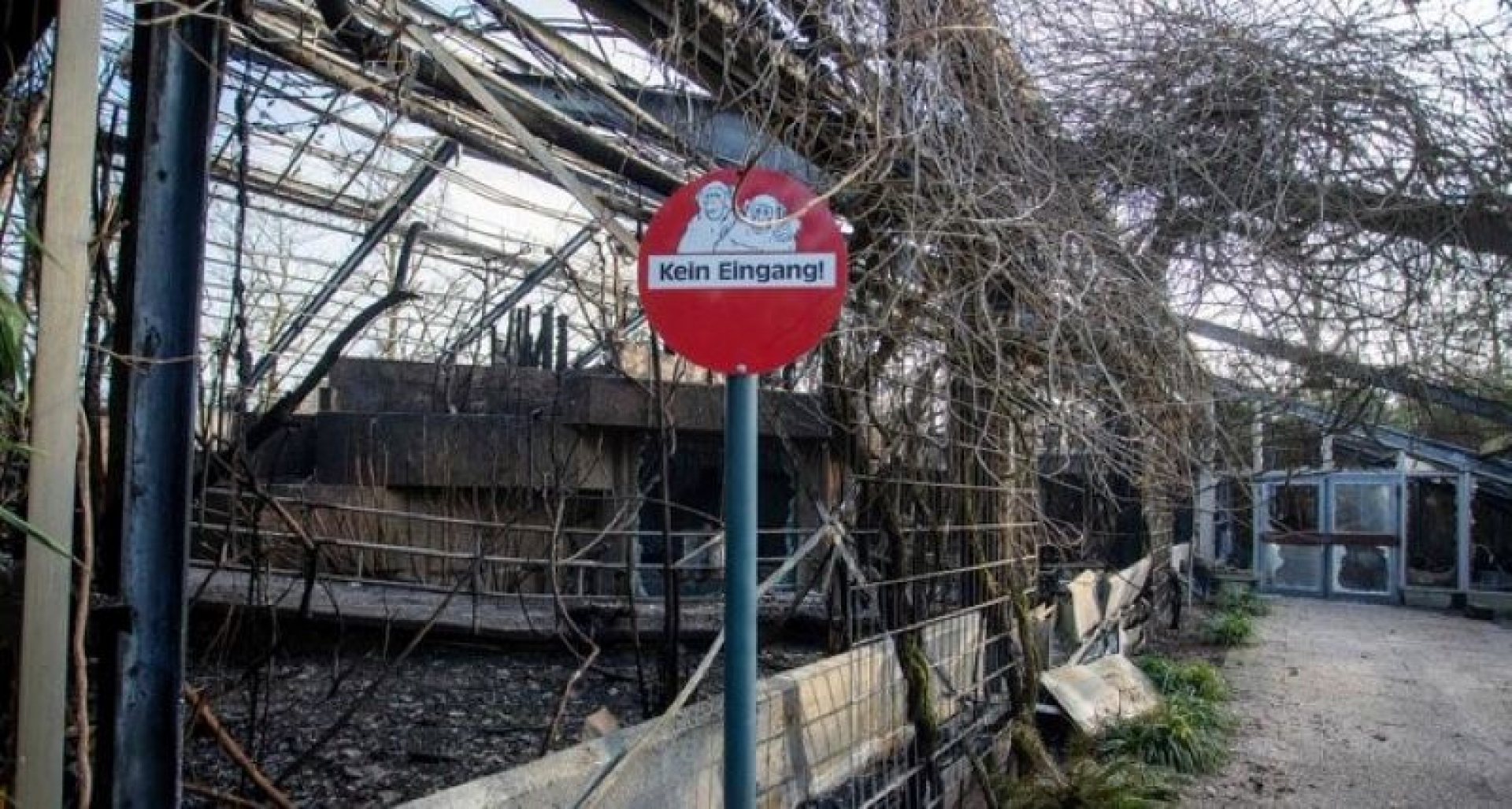 Mueren decenas de animales por incendio en zoológico de Alemania