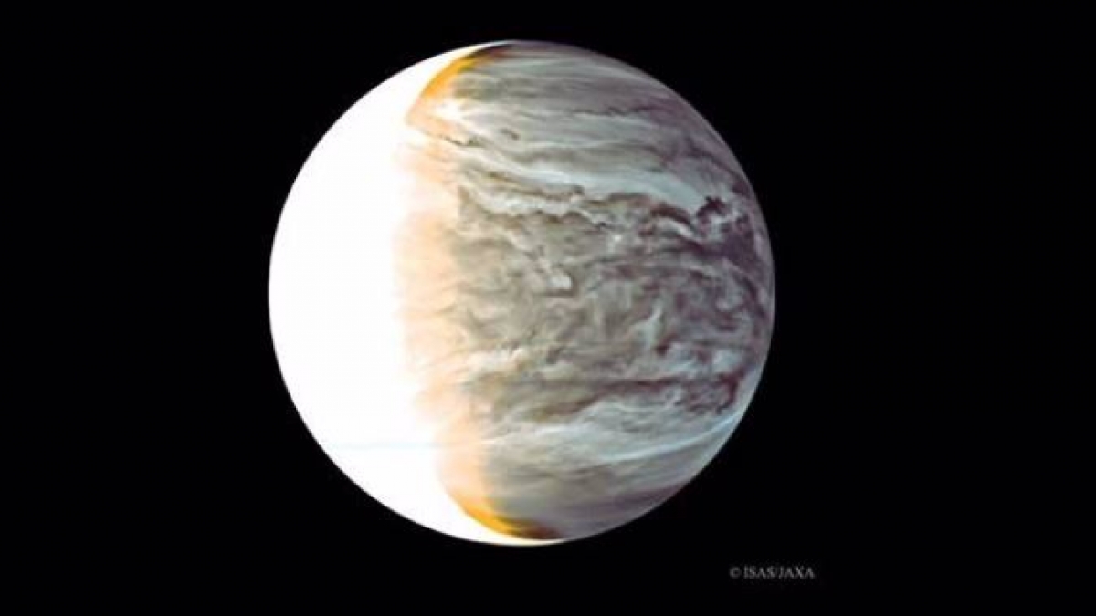 Fotosíntesis 24 horas en las nubes de Venus puede sustentar la vida