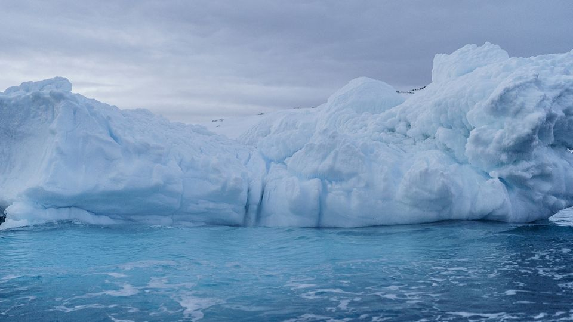 Iceberg más grande del mundo se mueve tras 30 años en reposo