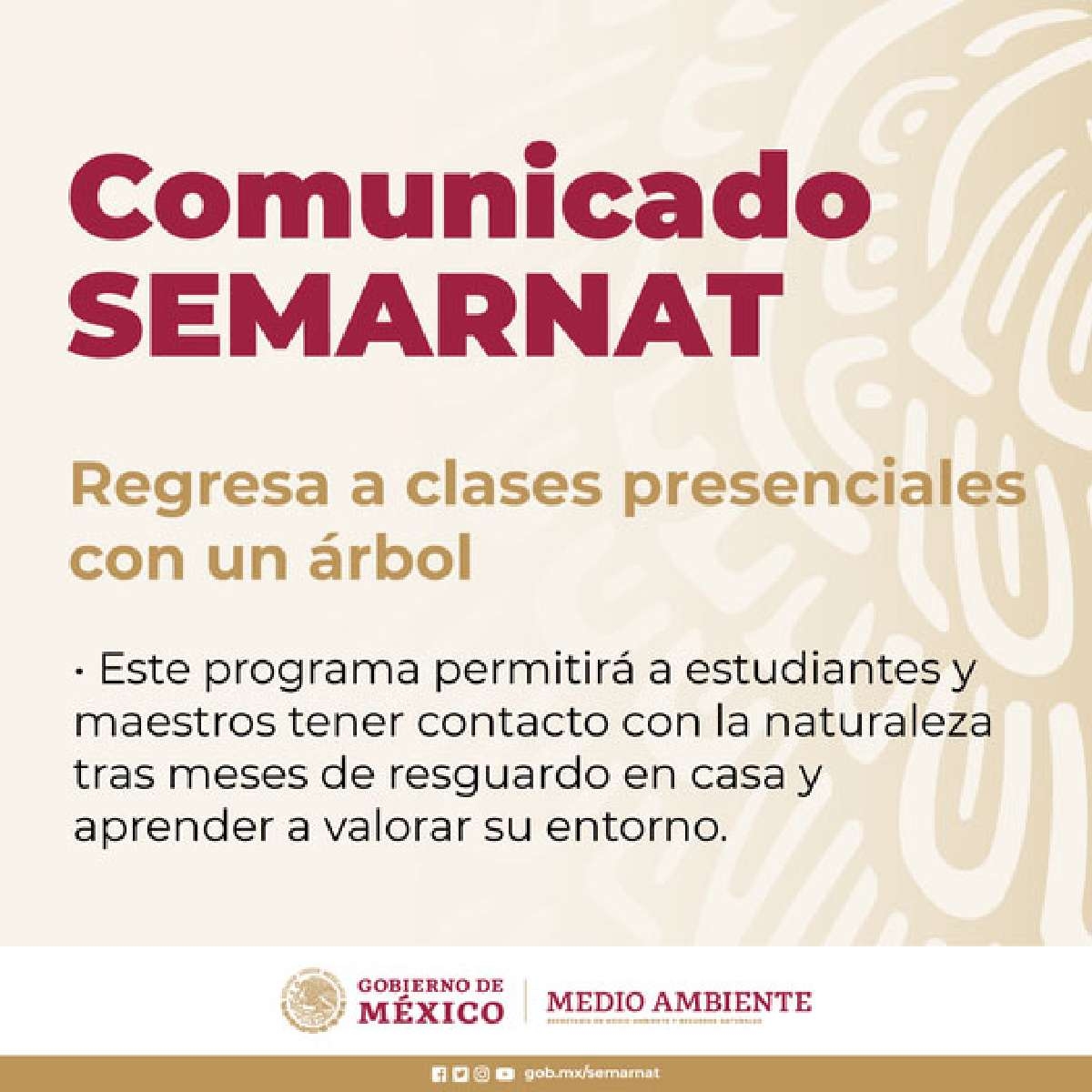 Morelos recibirá el programa “Regresa a clases con un árbol”