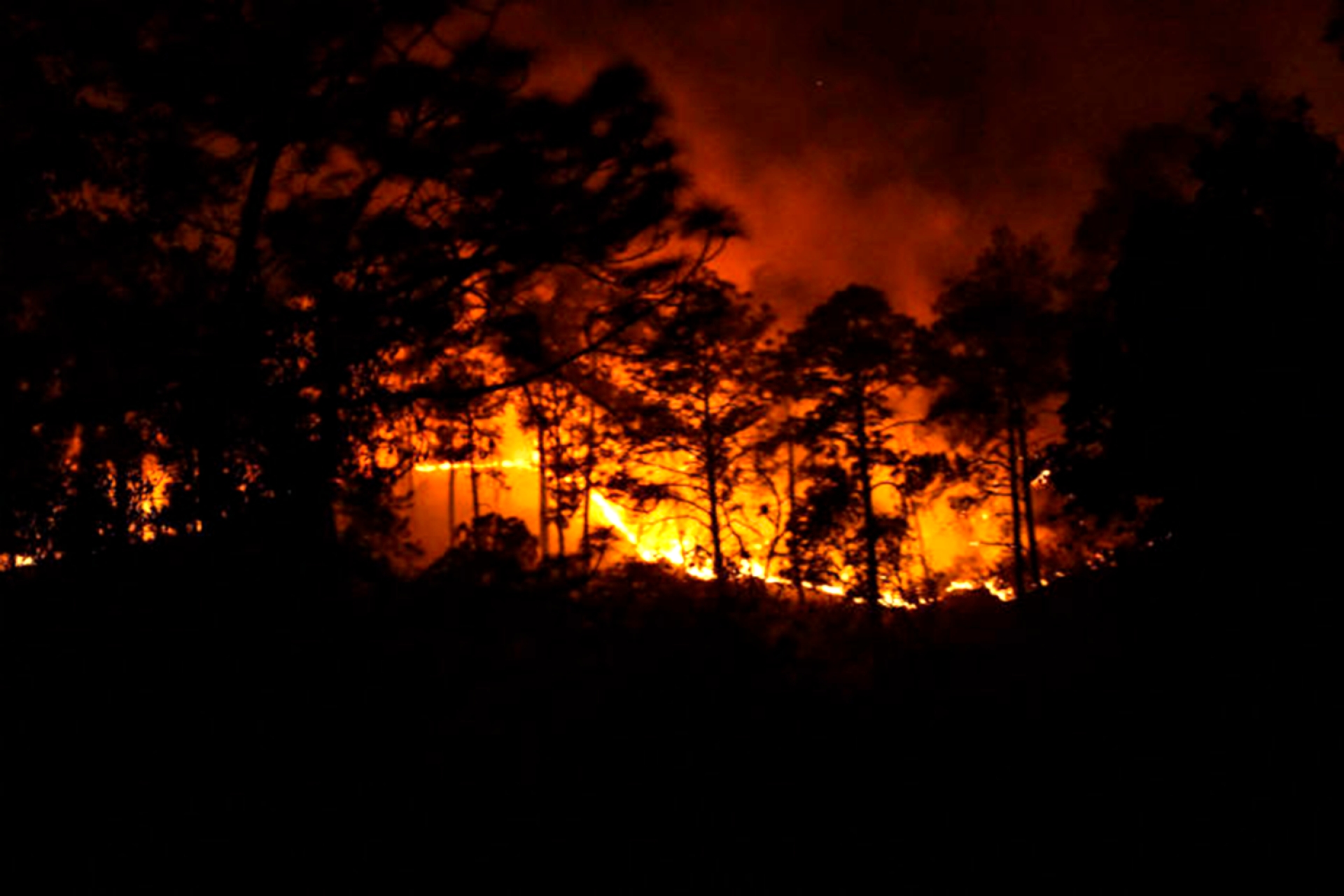 Esperan la peor temporada de incendios de la década