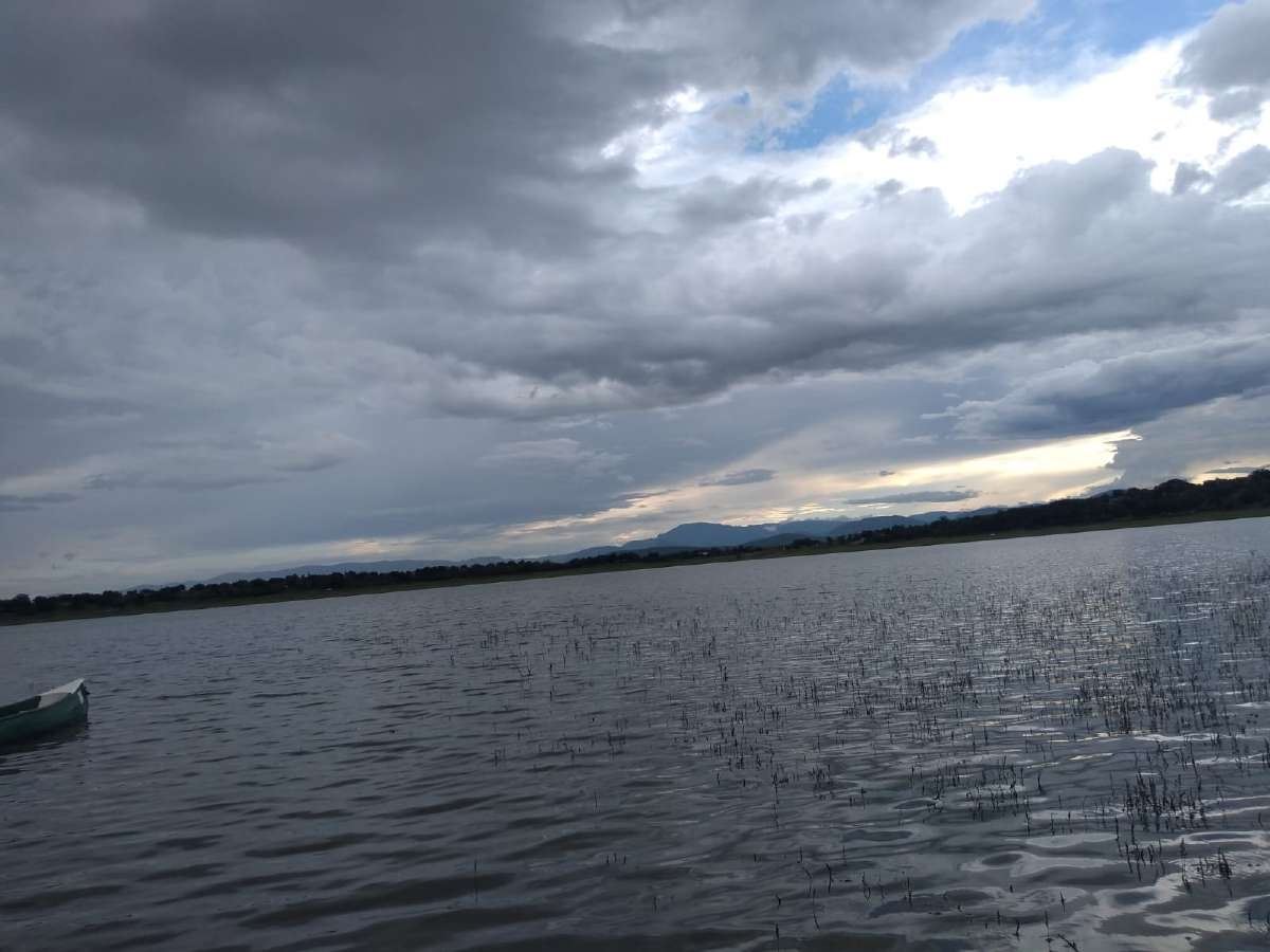 Persiste escasez de mojarra en las lagunas de El Rodeo y Coatetelco