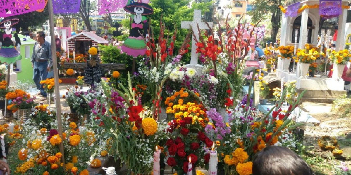Saldo blanco durante festividades de Día de Muertos: ronda de Ocotepec