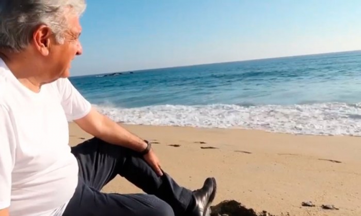 “Ya chole de estar hablando de los corruptos”, dice AMLO, y libera tortugas bebé al mar (VIDEO)