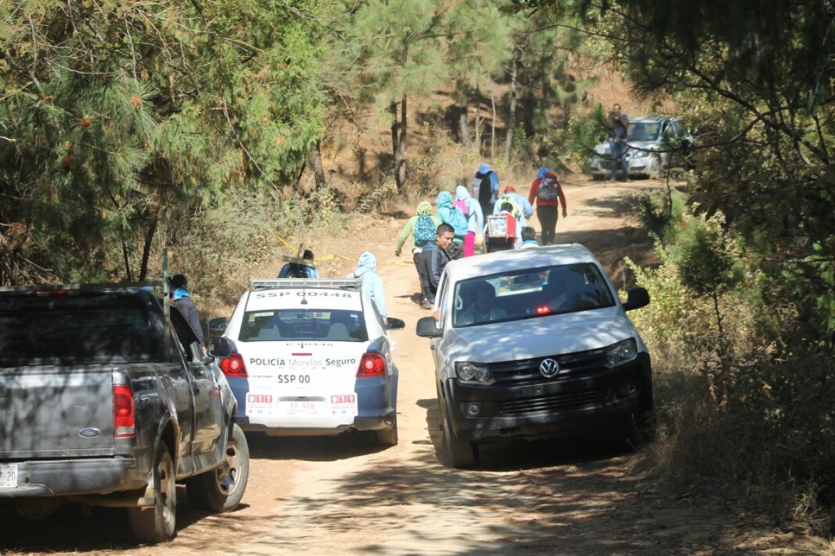 Hallaron una osamenta en un camino de terracería