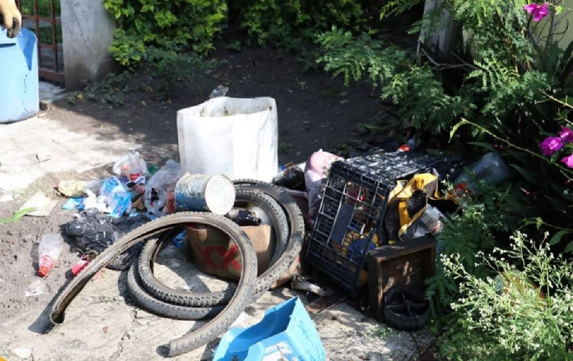 Casos probables de dengue movilizan a autoridades de Miacatlán