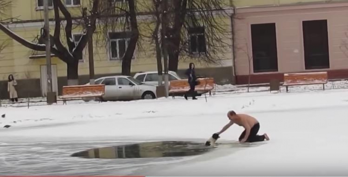 El hombre también puede ser el mejor amigo del perro